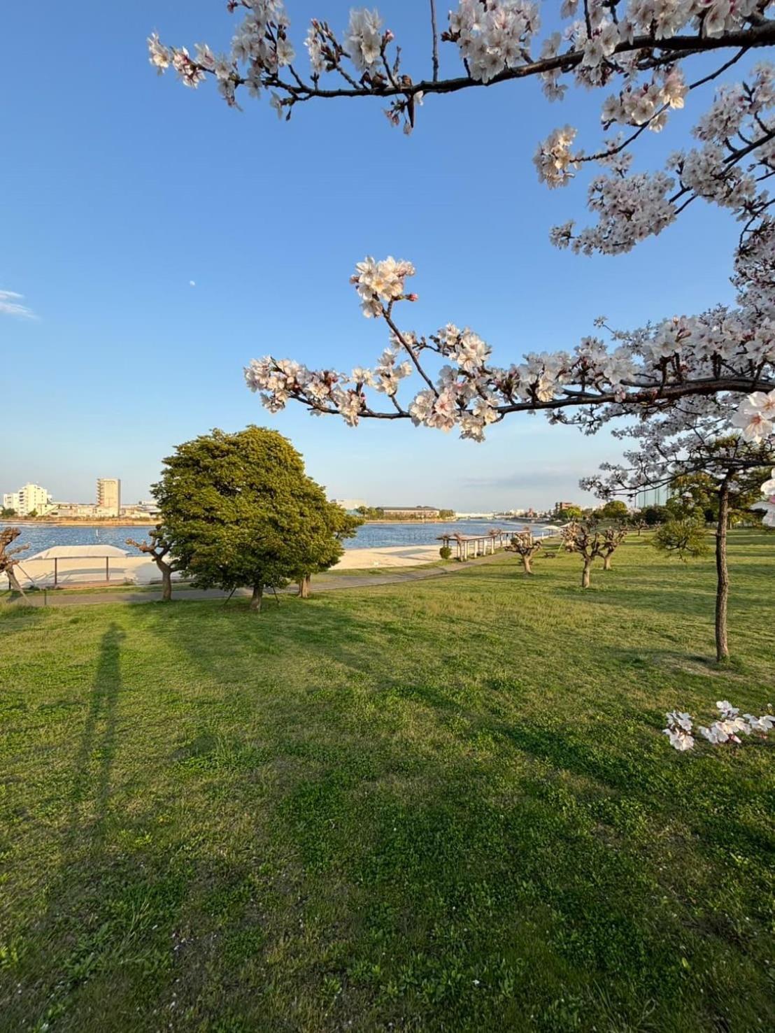 Vacation Inn Heiwajima I Токио Екстериор снимка