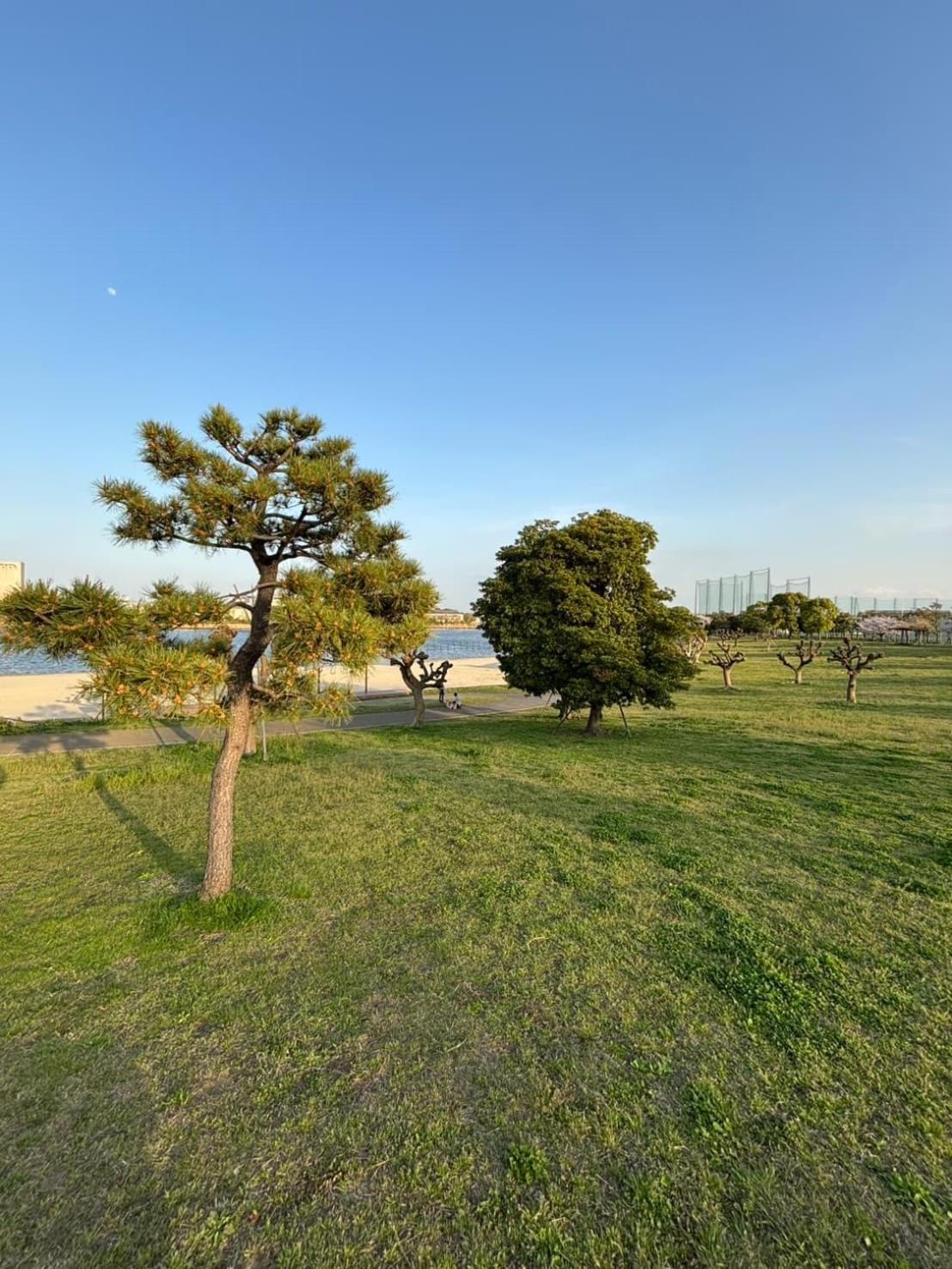 Vacation Inn Heiwajima I Токио Екстериор снимка